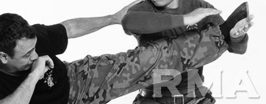 Stage de Systema — entraînement de type militaire RMA