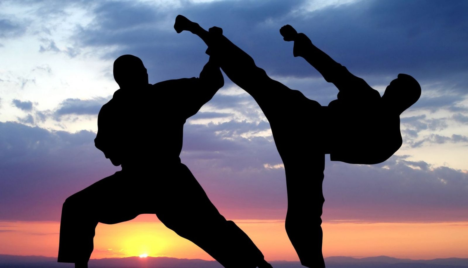 Silhouettes de deux combattants au coucher de soleil — esprit martial